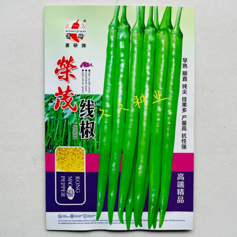 荣茂线椒种子早熟顺直高产辣椒种子高产抗病辣味香浓基地专用