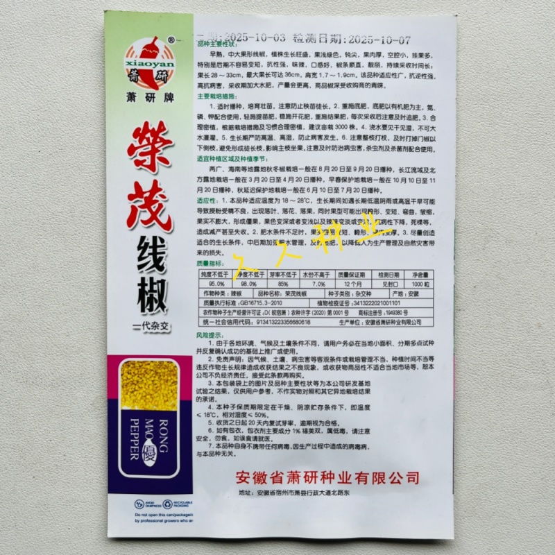 荣茂线椒种子早熟顺直高产辣椒种子高产抗病辣味香浓基地专用
