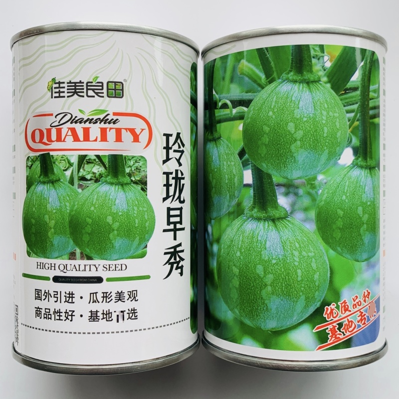 玲珑早秀南瓜种子杂交一串铃南瓜种子早熟嫩南瓜种籽脆甜基地