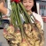 红芽鲜姜【入库存窖窖口出租】辣味足块头大无杂质芽鲜无腐烂