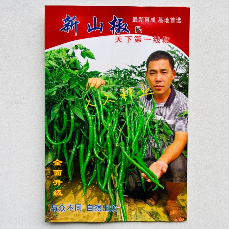 新品种新山椒种子耐热耐湿耐低温采收期长顺直适应性广辣味浓