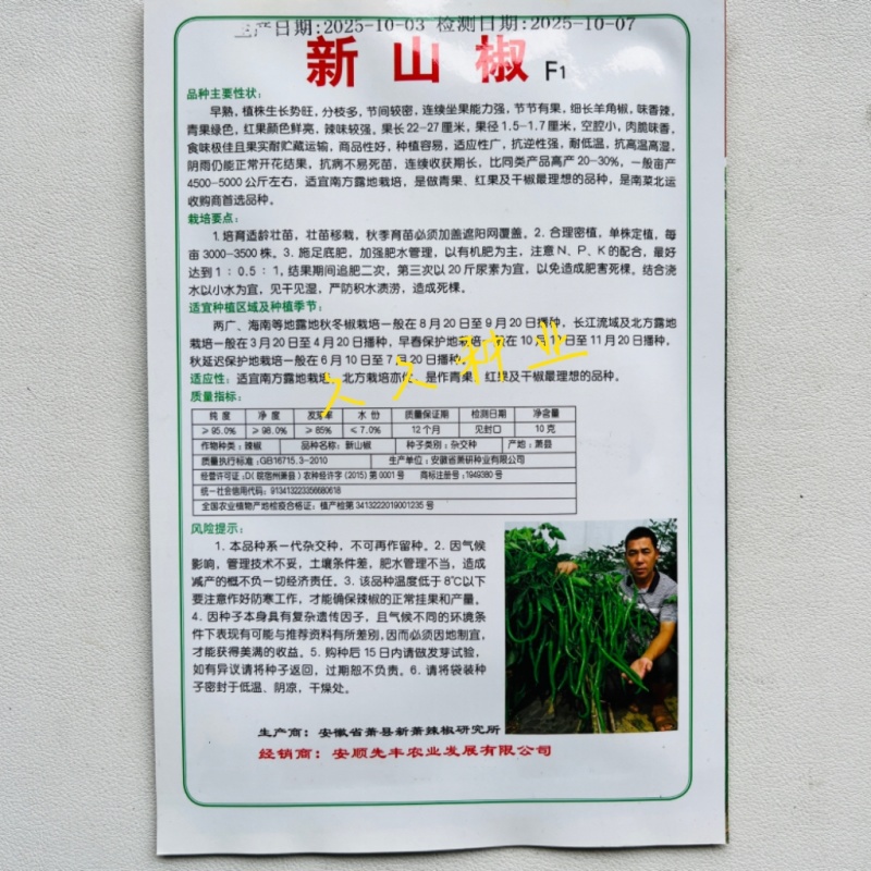 新品种新山椒种子耐热耐湿耐低温采收期长顺直适应性广辣味浓