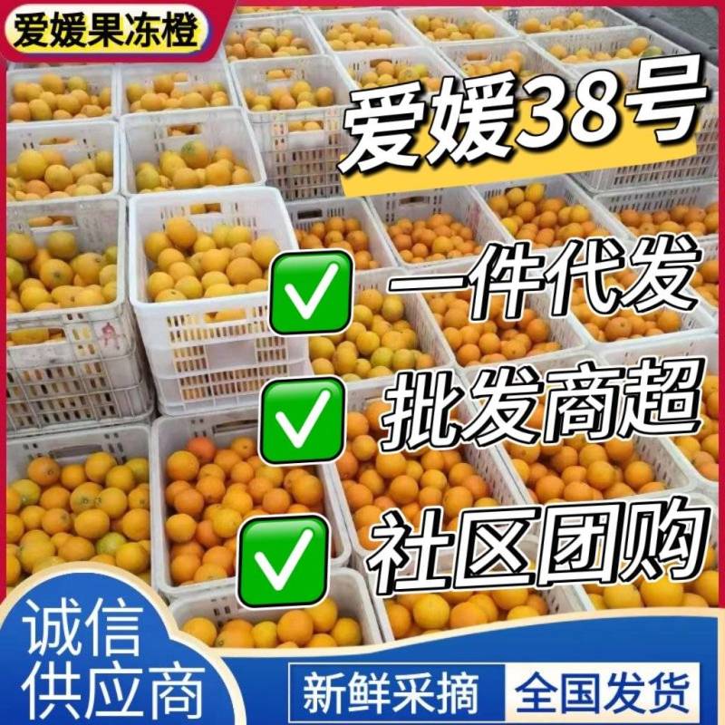 【爱媛果冻橙】四川橙子/爱媛38/社区团购/落地配/电商