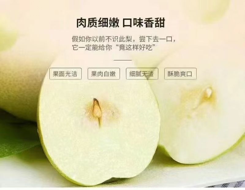正宗隰县玉露香梨
