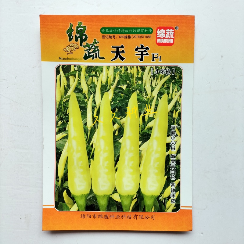 绵蔬天宇香辣小米椒种子早熟单生朝天椒种籽辣椒种尖椒种子蔬