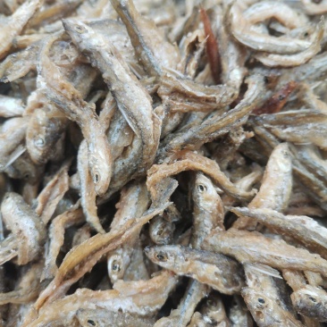 益阳刁子鱼。开膛破肚，不苦油炸，干度好