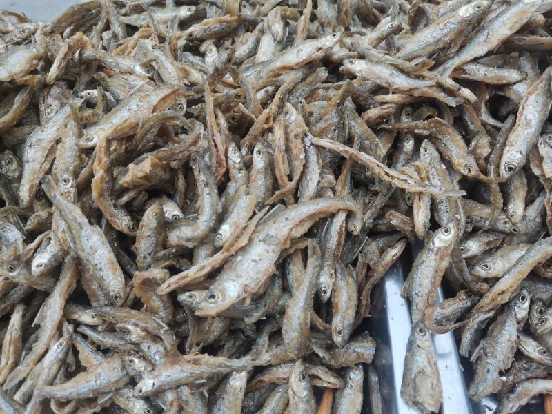 益阳刁子鱼。开膛破肚，不苦油炸，干度好