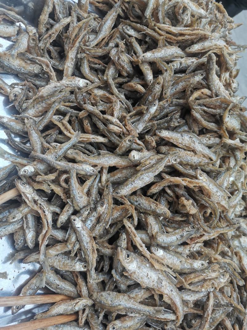 益阳刁子鱼。开膛破肚，不苦油炸，干度好