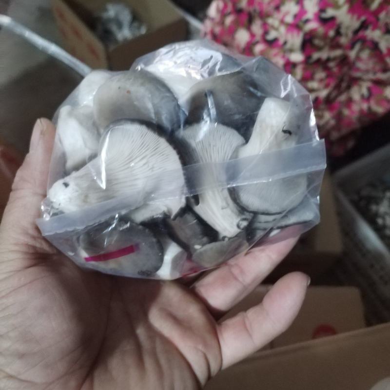 产地直发，一手货源。