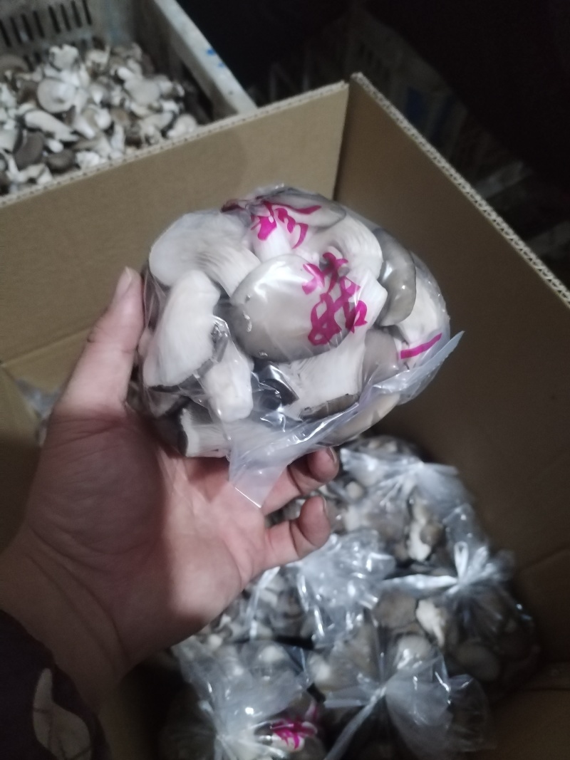 产地直发，一手货源。