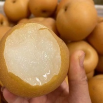 梨黄金梨丰水梨圆黄梨秋月梨产地直发低价好货脆甜多汁