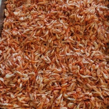 油炸河虾