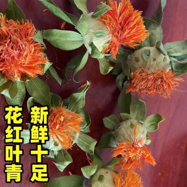 西藏红花头正品红花果橙菠萝泡茶水网红花茶红花头茶整朵无硫