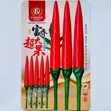 正品云农富乔超大果朝天椒种子大果朝天椒种子把子粗长适应性