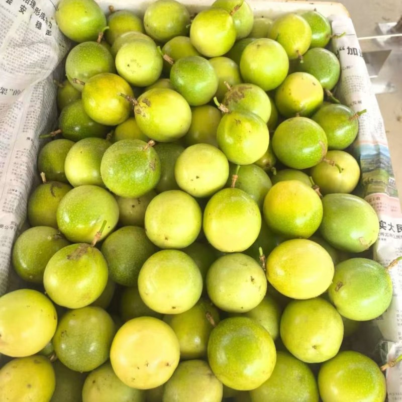 黄金百香果