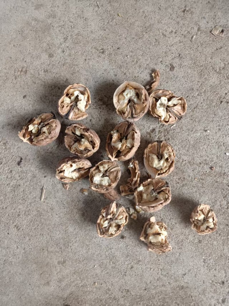 干核桃