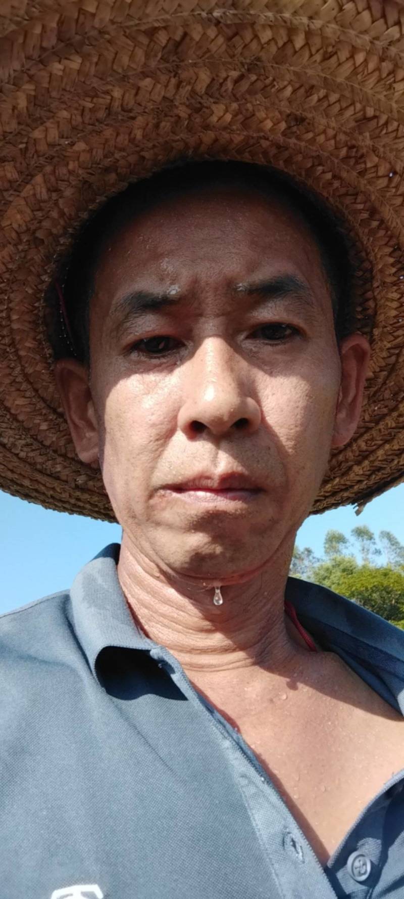 翁源甘蔗