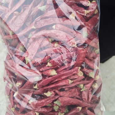 长期大量供应高辣朝天椒干辣椒829，货在甘肃张掖，联系叶