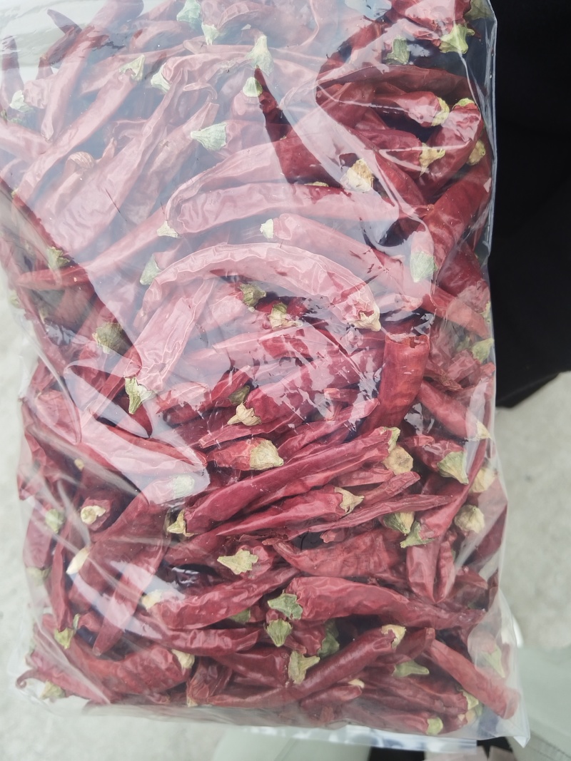 长期大量供应高辣朝天椒干辣椒829，货在甘肃张掖，联系叶