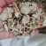 白芍白芍片自产自销中药材批发诚信经营中药材