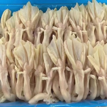干冰鸭掌