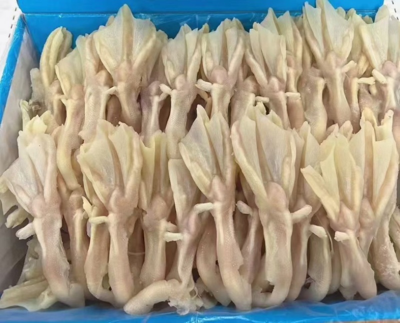 干冰鸭掌
