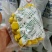 板栗油板栗量大颗粒饱满保证质量炒贷平台专用