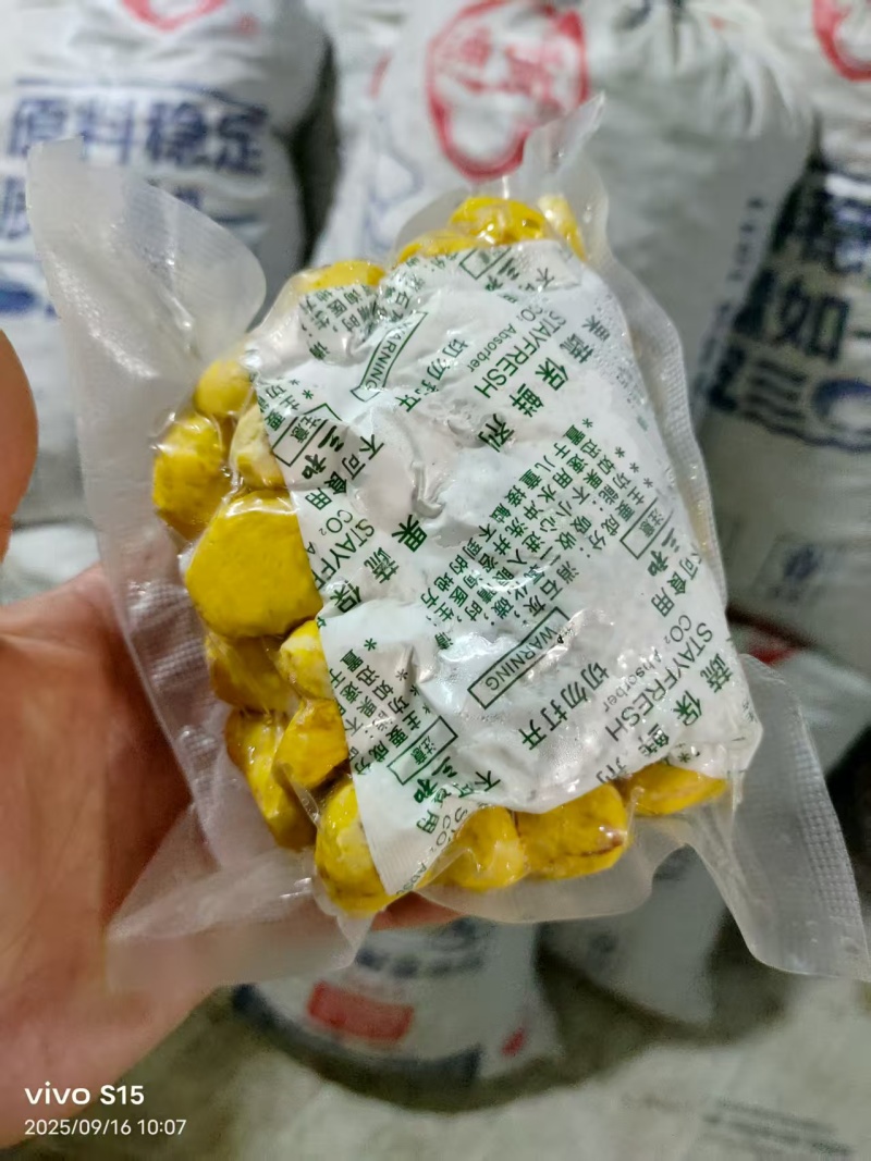 板栗油板栗量大颗粒饱满保证质量炒贷平台专用