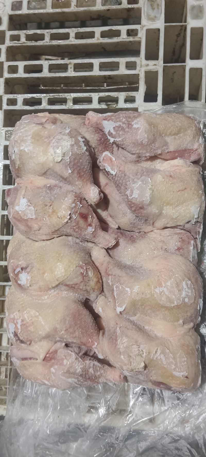 老鸡二级排腿，