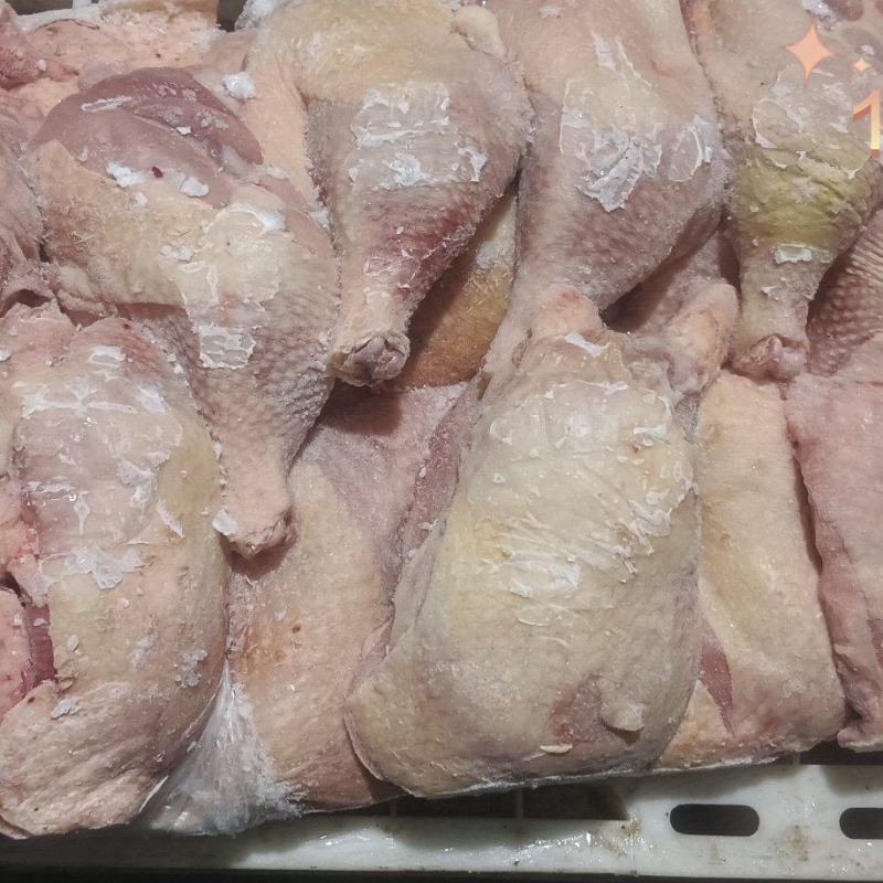 老鸡二级排腿，