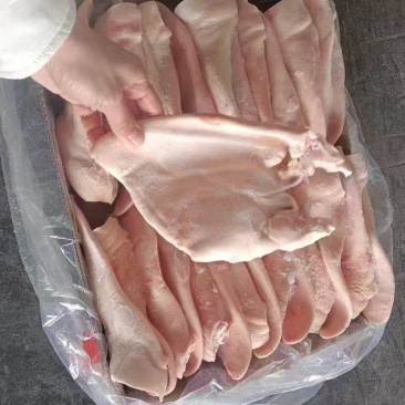 一级猪耳