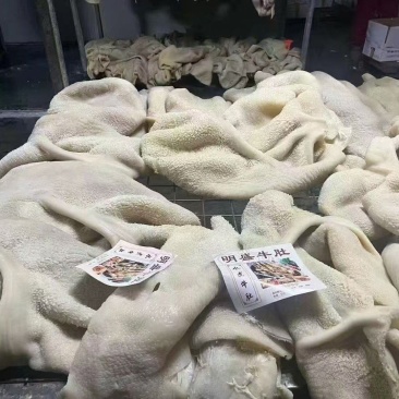 熟牛肚