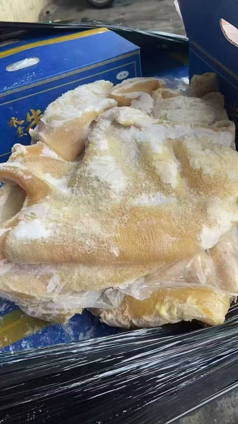 熟牛肚