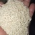 水洗芝麻仁，厂家直售，量大从优