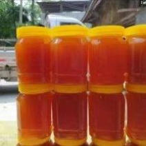 精品土蜂蜜大量供应对接食品加工厂品质保证欢迎下单品尝