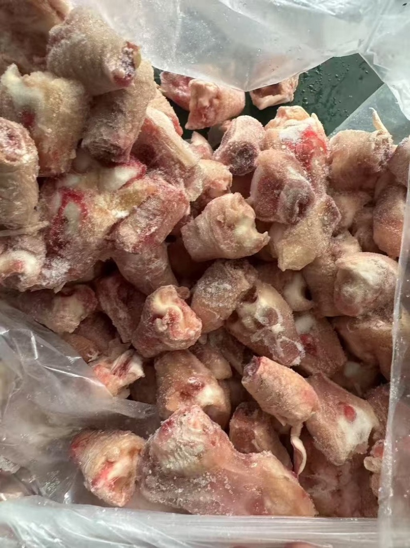 带筋爪骨