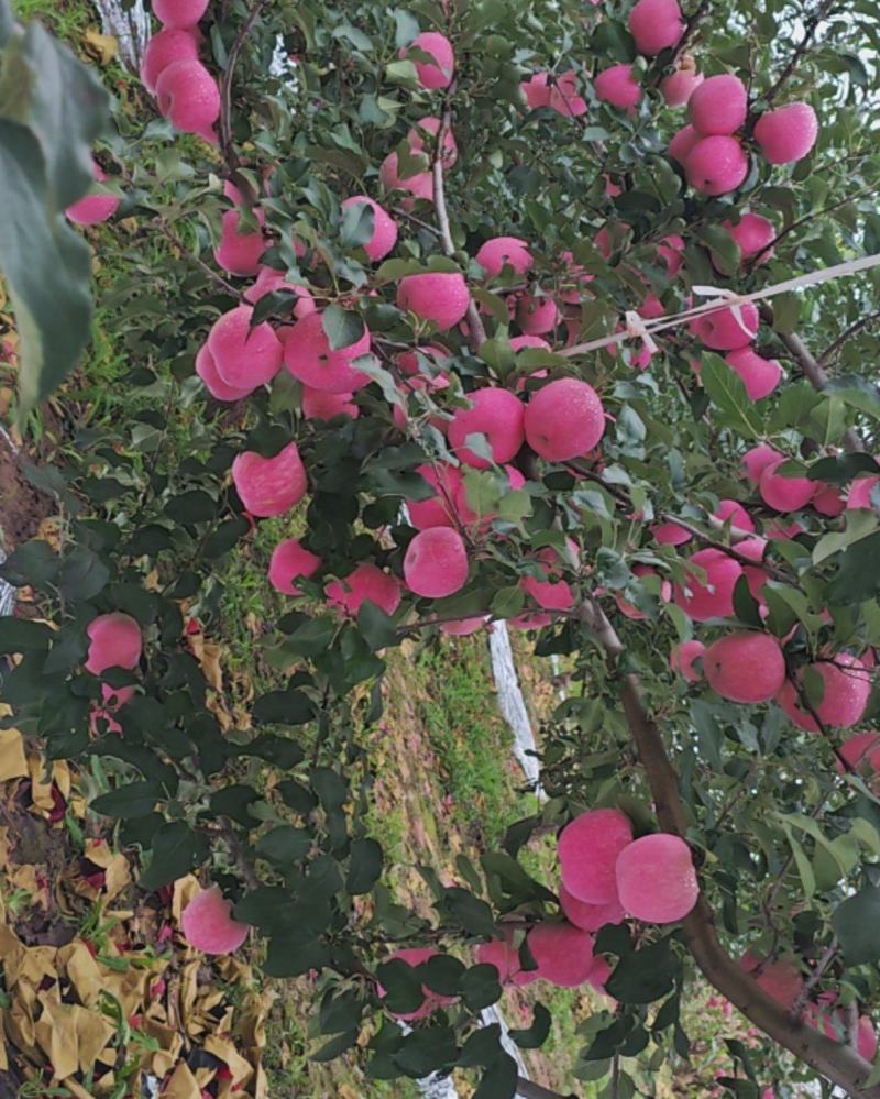 山西临汾吉县