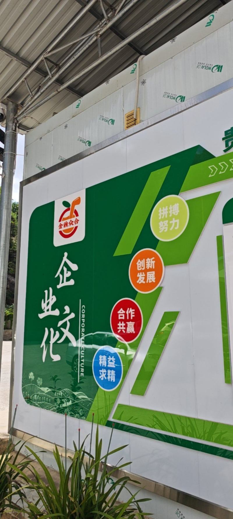 贵州刺梨原汁NFC鲜果压榨非浓缩还原刺梨汁200L一桶