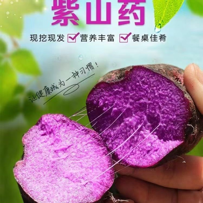 江西紫皮山药现挖现发粉糯香甜营养丰富价格便宜