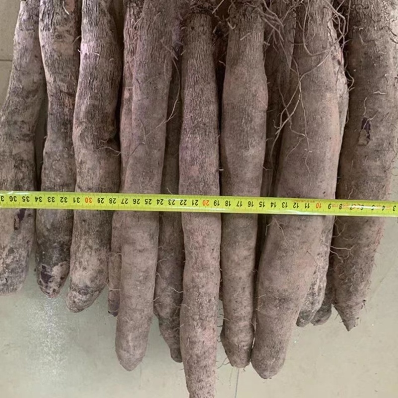 江西紫皮山药现挖现发粉糯香甜营养丰富价格便宜