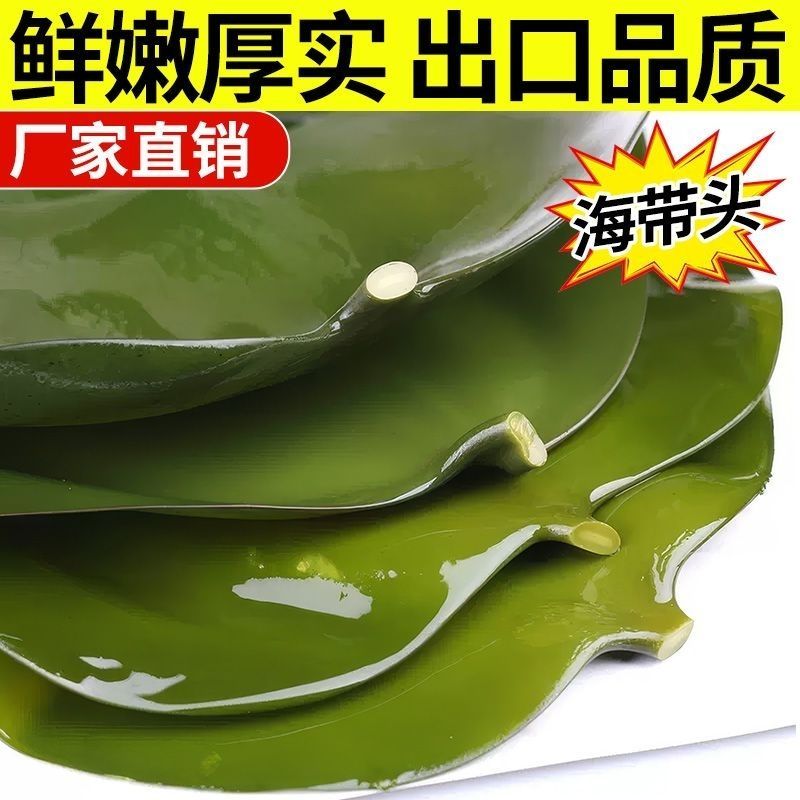 盐渍海带头(五斤/箱)，薄厚均匀大头约50cm，叶大肉厚