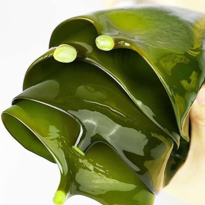 盐渍海带头(五斤/箱)，薄厚均匀大头约50cm，叶大肉厚