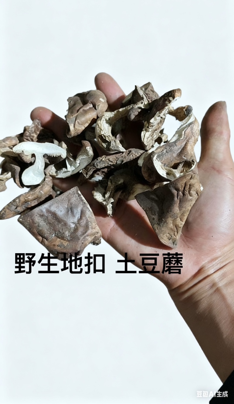 野生杨树蘑地扣土豆蘑新货切片水洗蘑菇一手充足货源