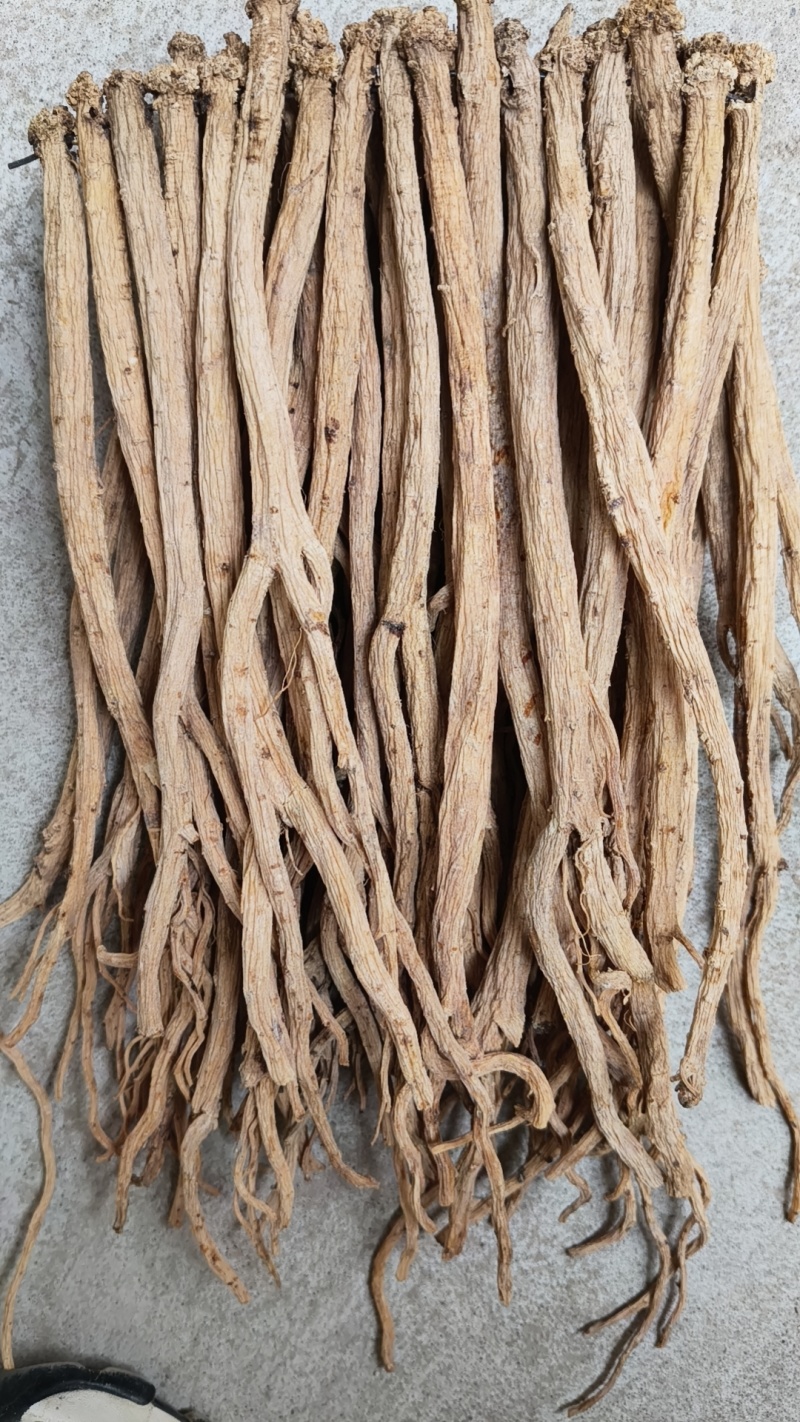 白条党参原装货