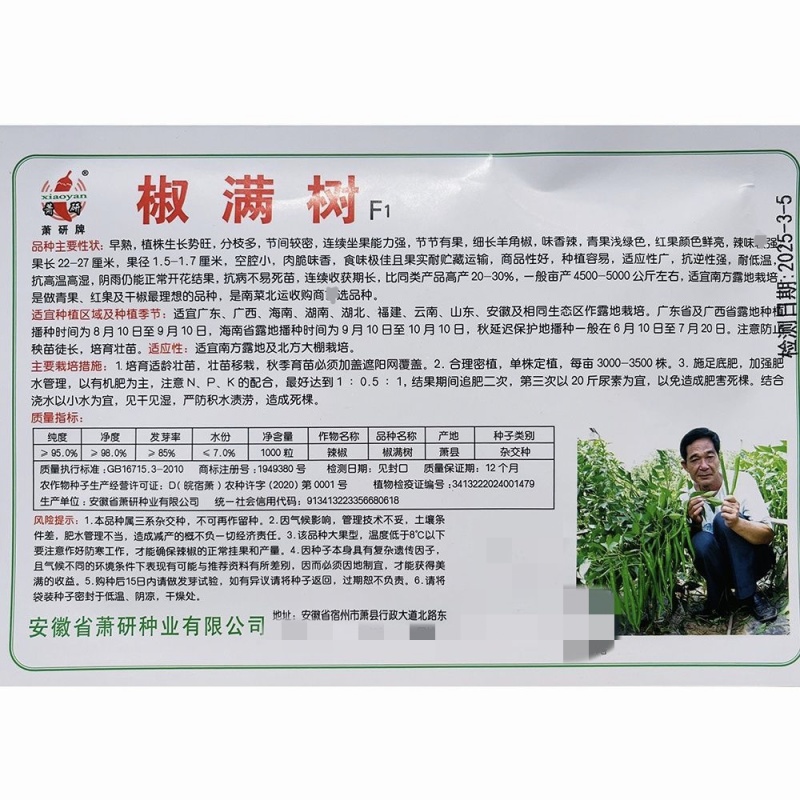 萧研新椒满树辣椒种子香辣二荆条细长羊角椒种籽长条椒顺直味