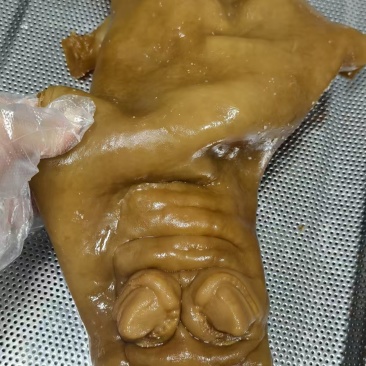 五香牛蹄，全熟，鲜货速冻发货。