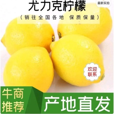安岳柠檬，产地直供，货真价实！合作共䊨！