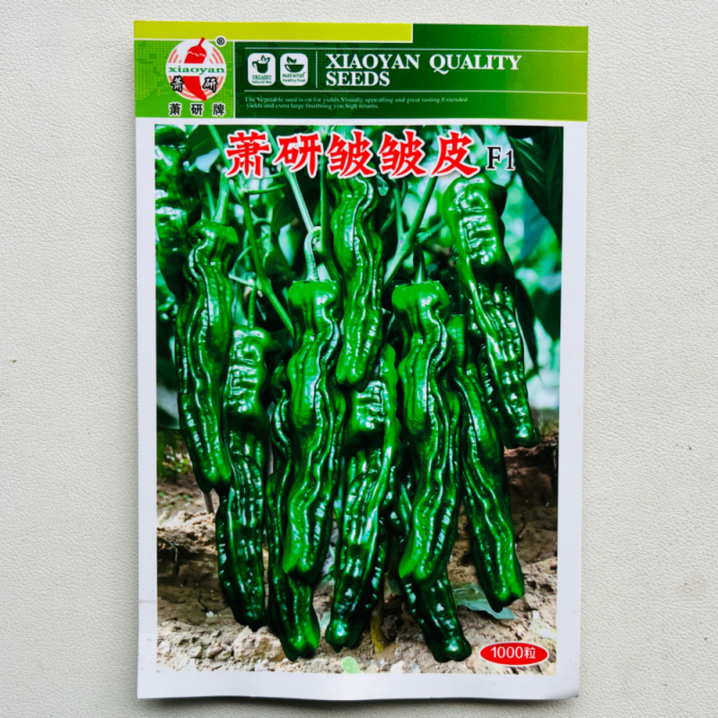 皱皮辣椒种子安徽萧研种业薄皮香辣早熟羊角椒皱皮椒种籽
