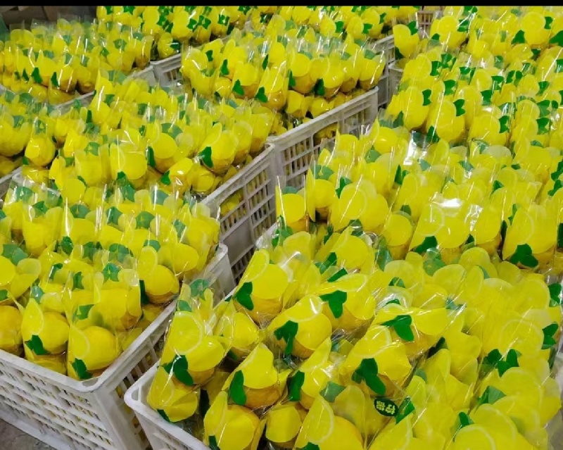 安岳柠檬，产地直供，货真价实！合作共䊨！