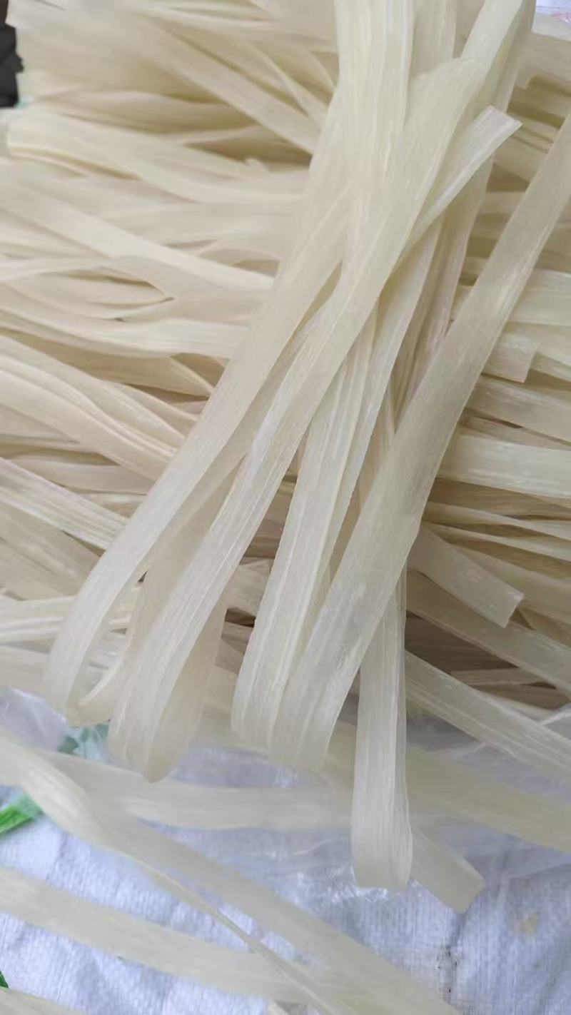 山药粉条山药粉条/量大从优/诚信经营产地直发